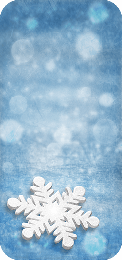 SnowFlake1
