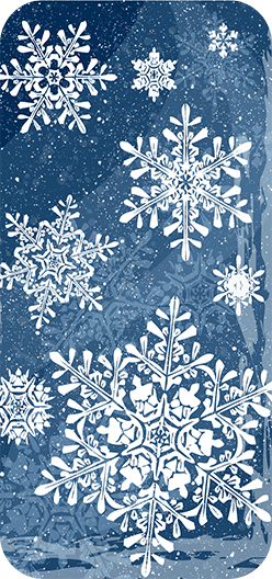 SnowFlake2
