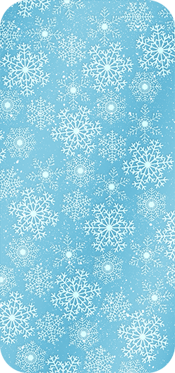 SnowFlake4
