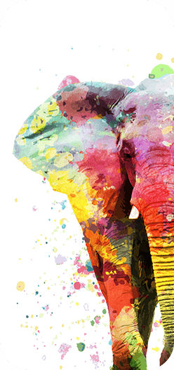 Watercolor Elephant