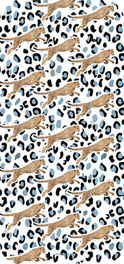Cheetahs