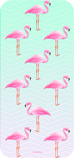 Flamingos