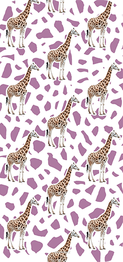 Giraffes