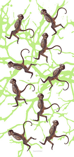 Monkeys