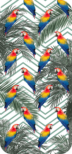 Parrots