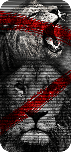 Lion Red Lines