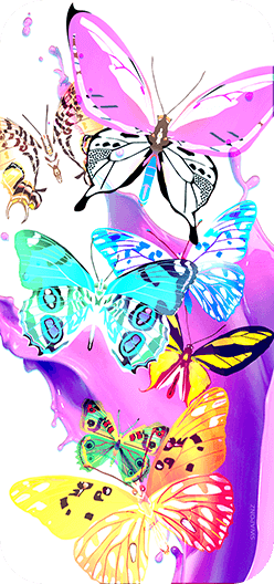 Butterflies Pink Purple