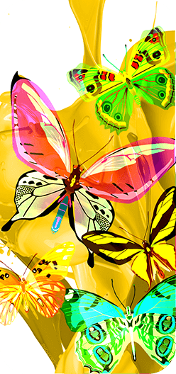 Butterflies Yellow