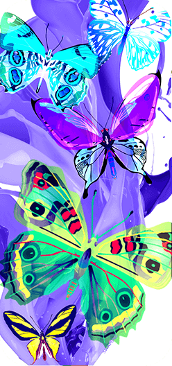 Butterflies Purple