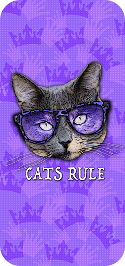Cats Rule