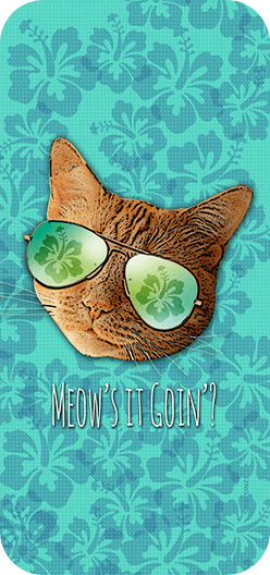 Meow's It Going