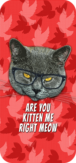 Are You Kitten Me
