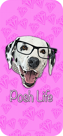 Posh Life
