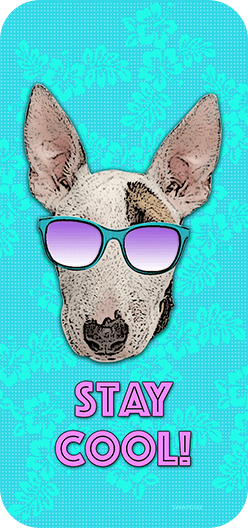 Stay Cool