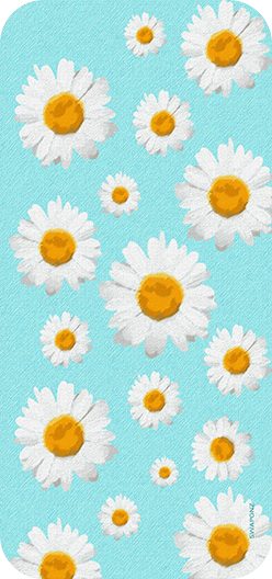Daisies