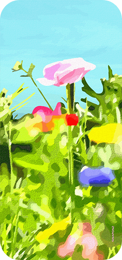 Meadow