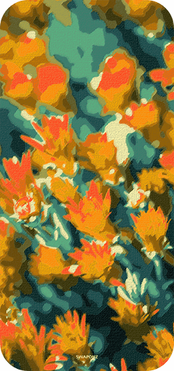 Wild Flowers