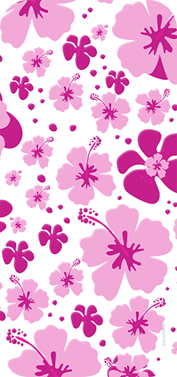 Hibiscus Fuchsia