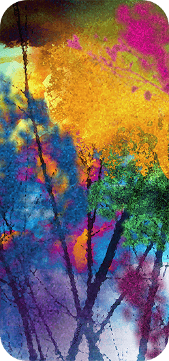 Tree Branches Colors