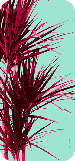 BambooPalm