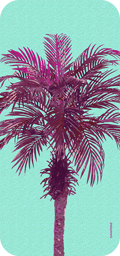 Palm Tree