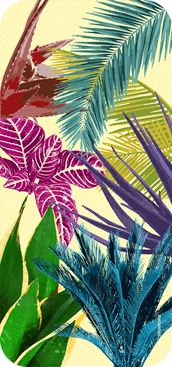 Colorfull Leaves