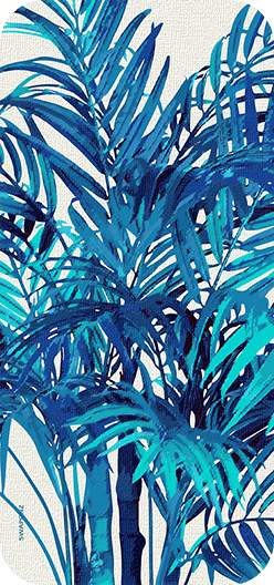 Palm Leaves