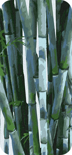 Bamboo