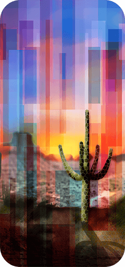 Desert