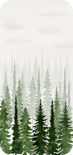 Mountain Trees Morning