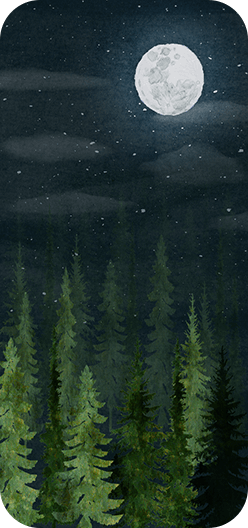 Mountain Trees Night