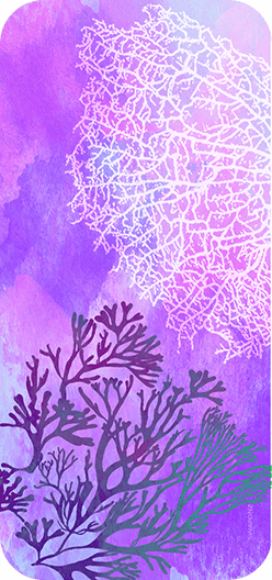 Coral Purple