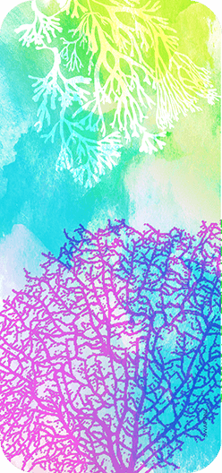 Coral Turquoise
